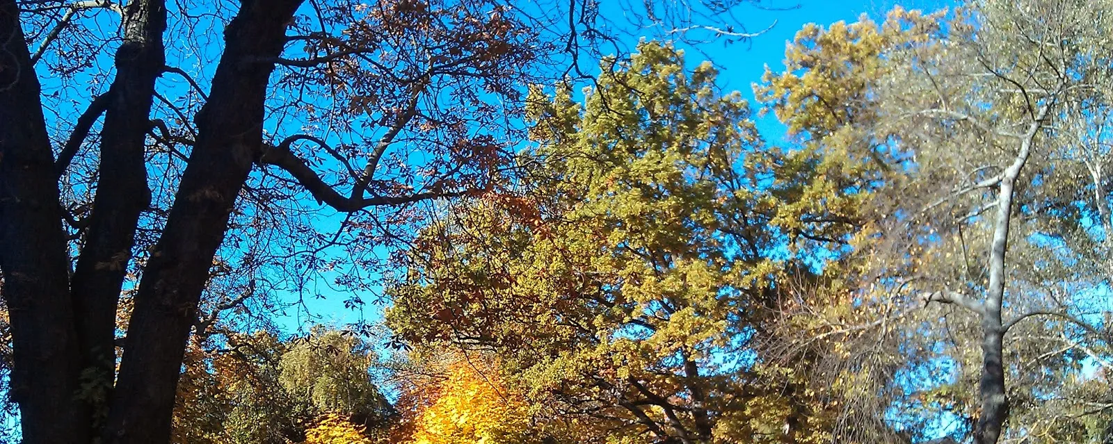 Fotografia 1