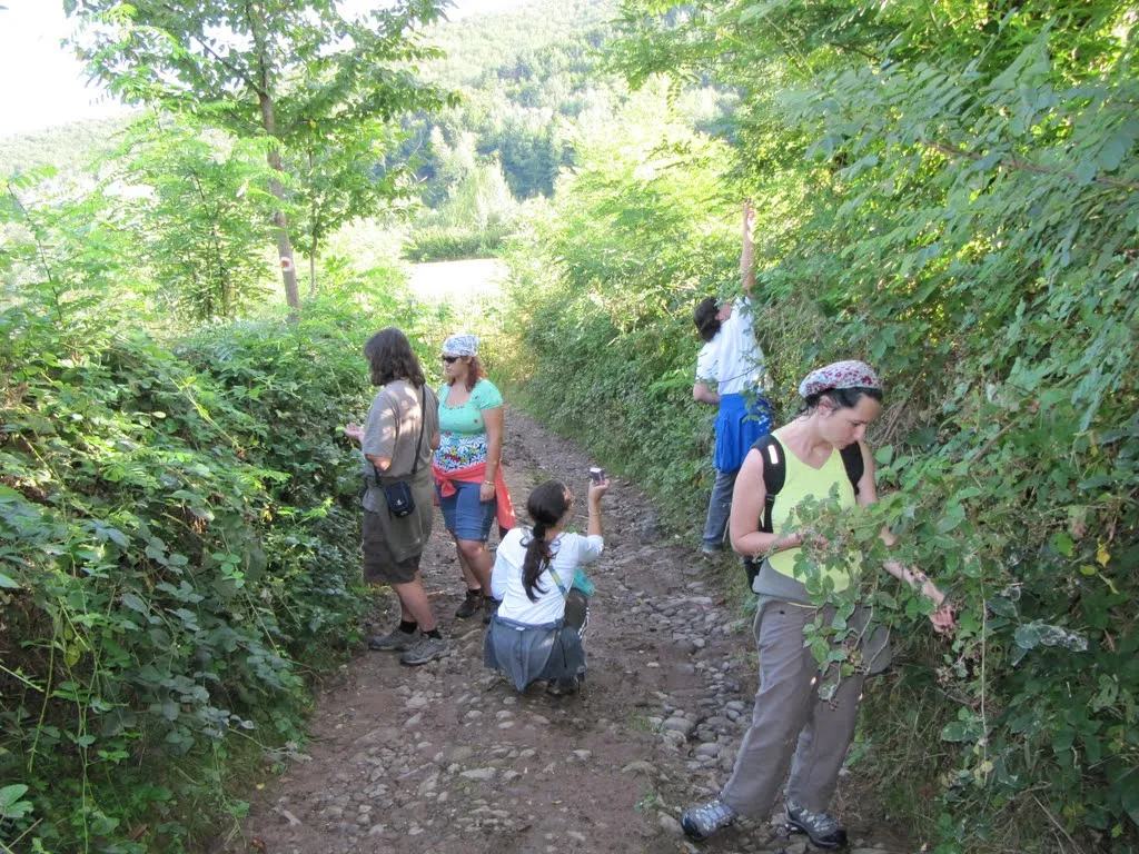 Fotografia 5