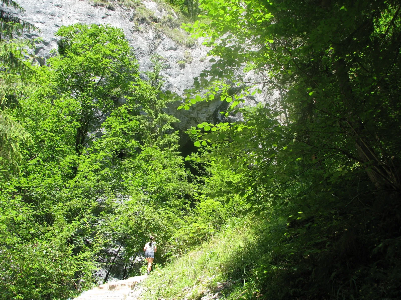 Fotografia 6