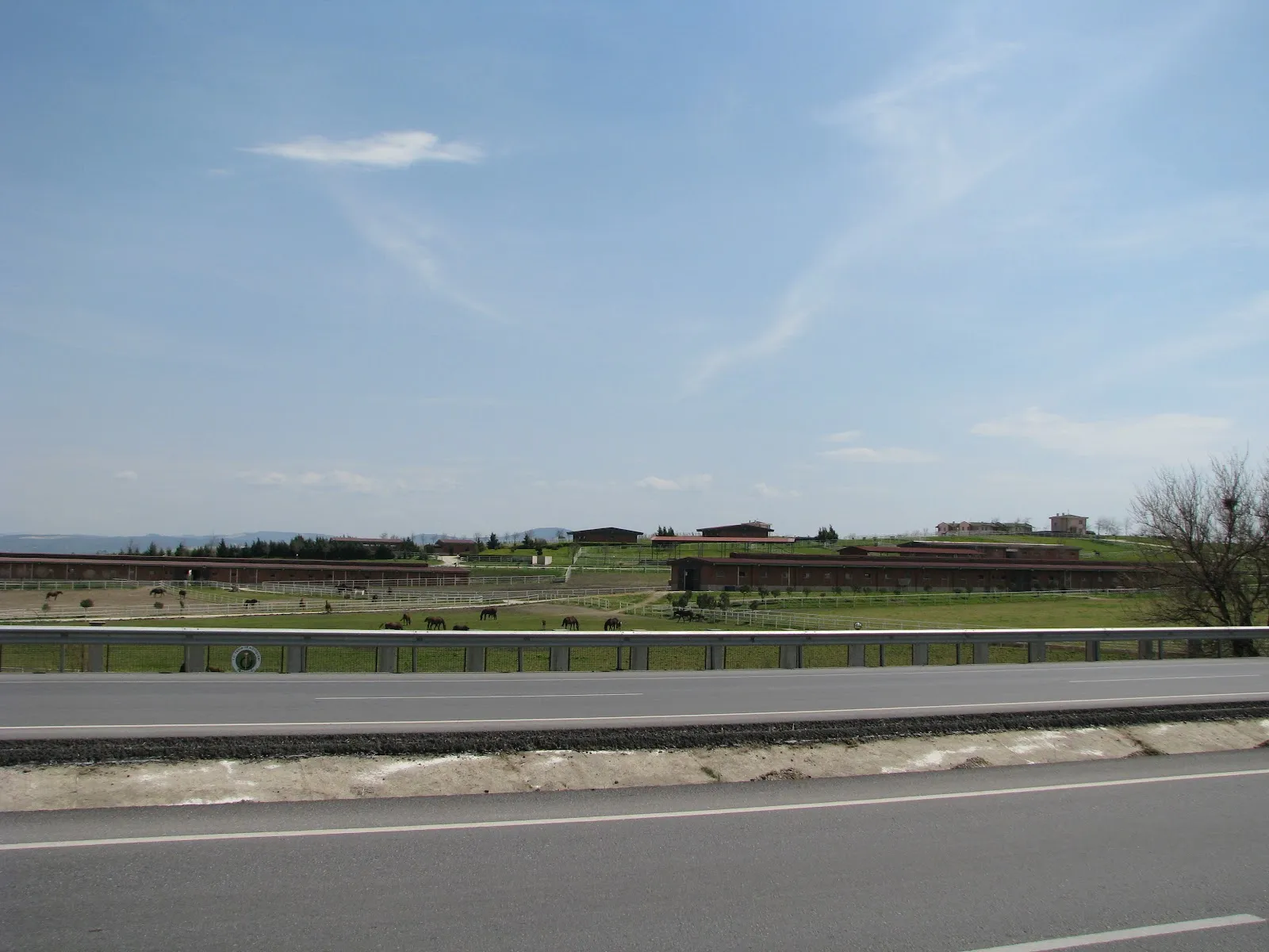 Fotografia 8