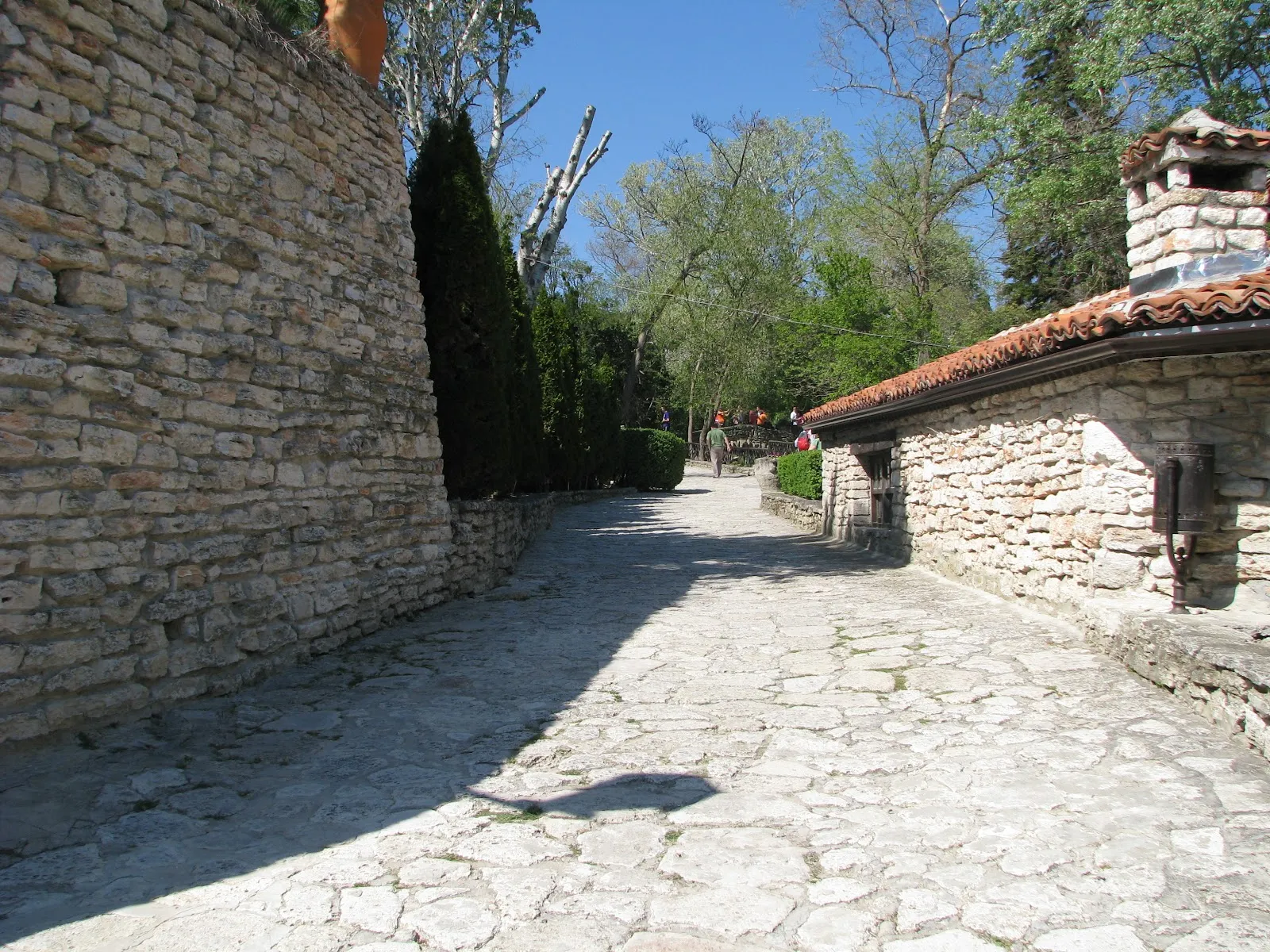 Fotografia 12