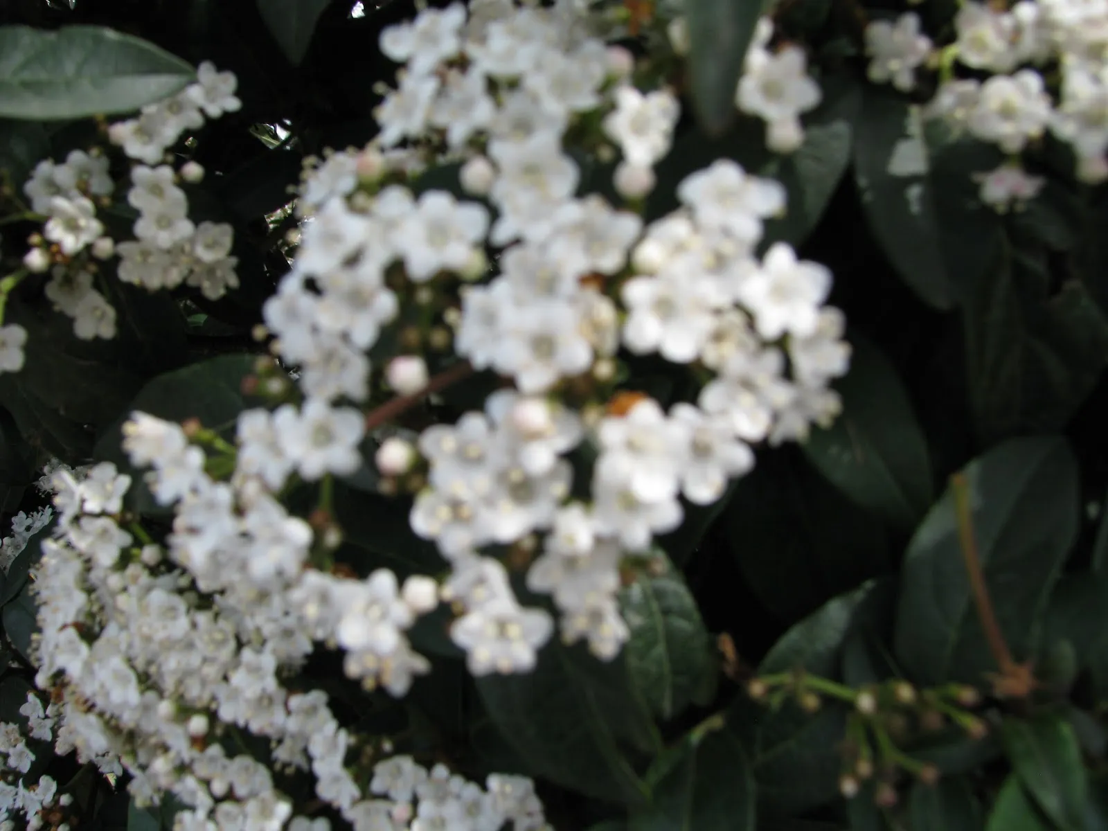 Fotografia 13